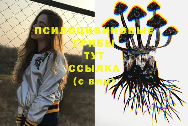 метадон Алексин