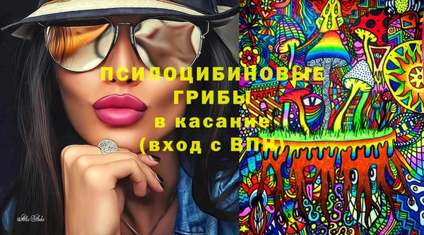 а пвп мука Гусев