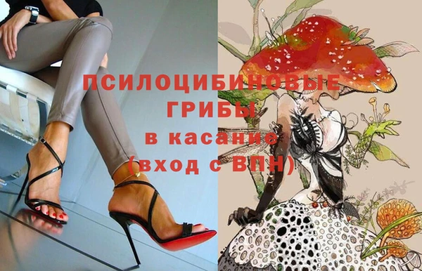 скорость Абаза